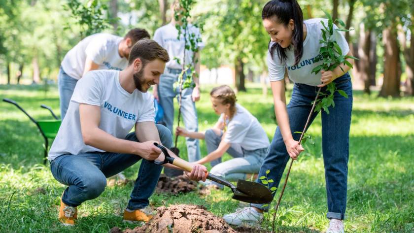 young volunteers planting trees in green park together